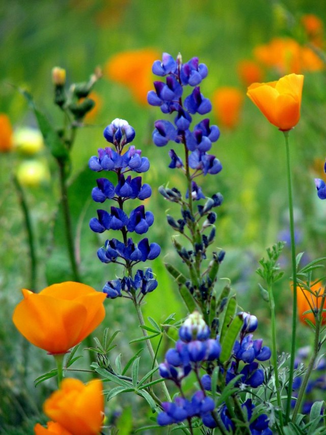 Pursuing Plan "C", All I Ever Needed To Learn