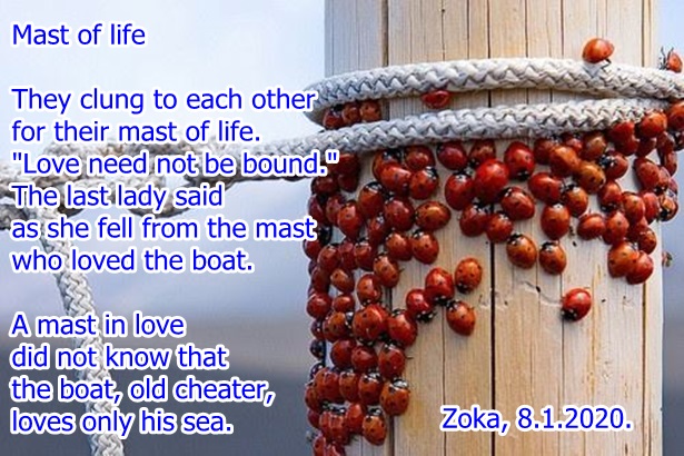 Mast Of Life ~ Jarbol Života