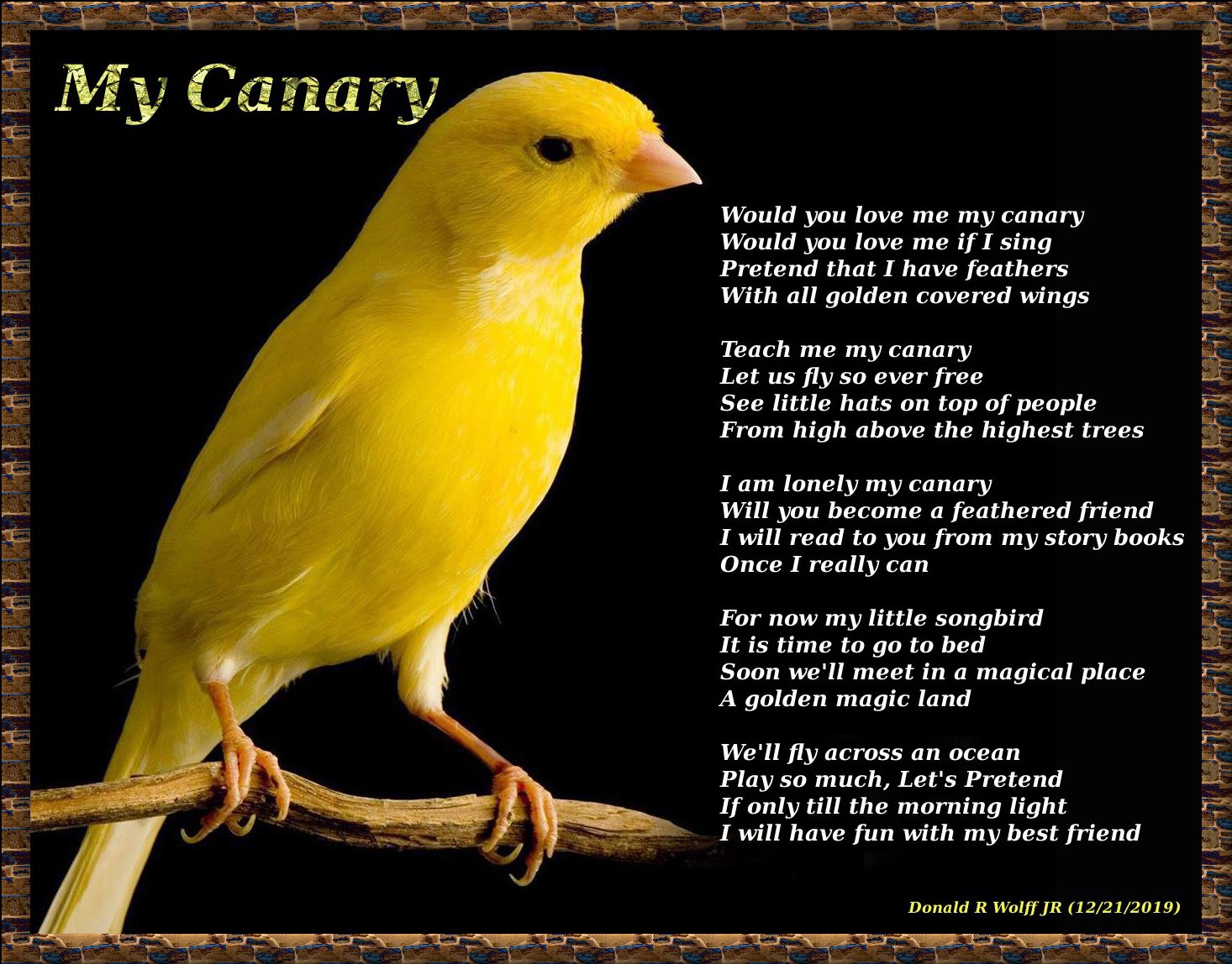 My Canary