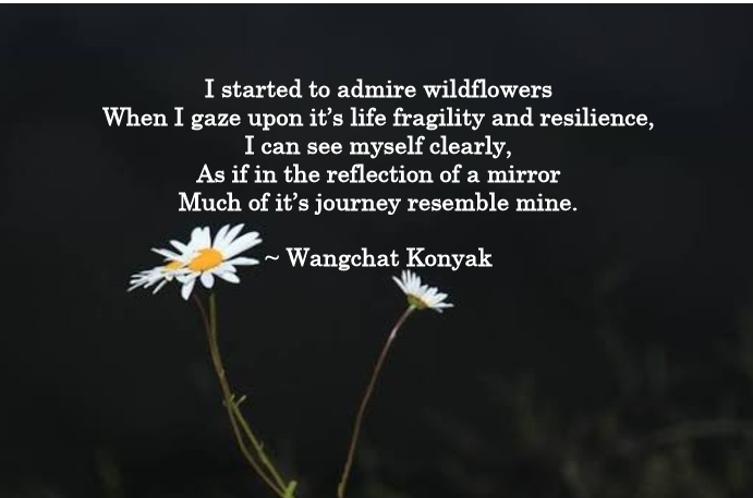The Wildflowers