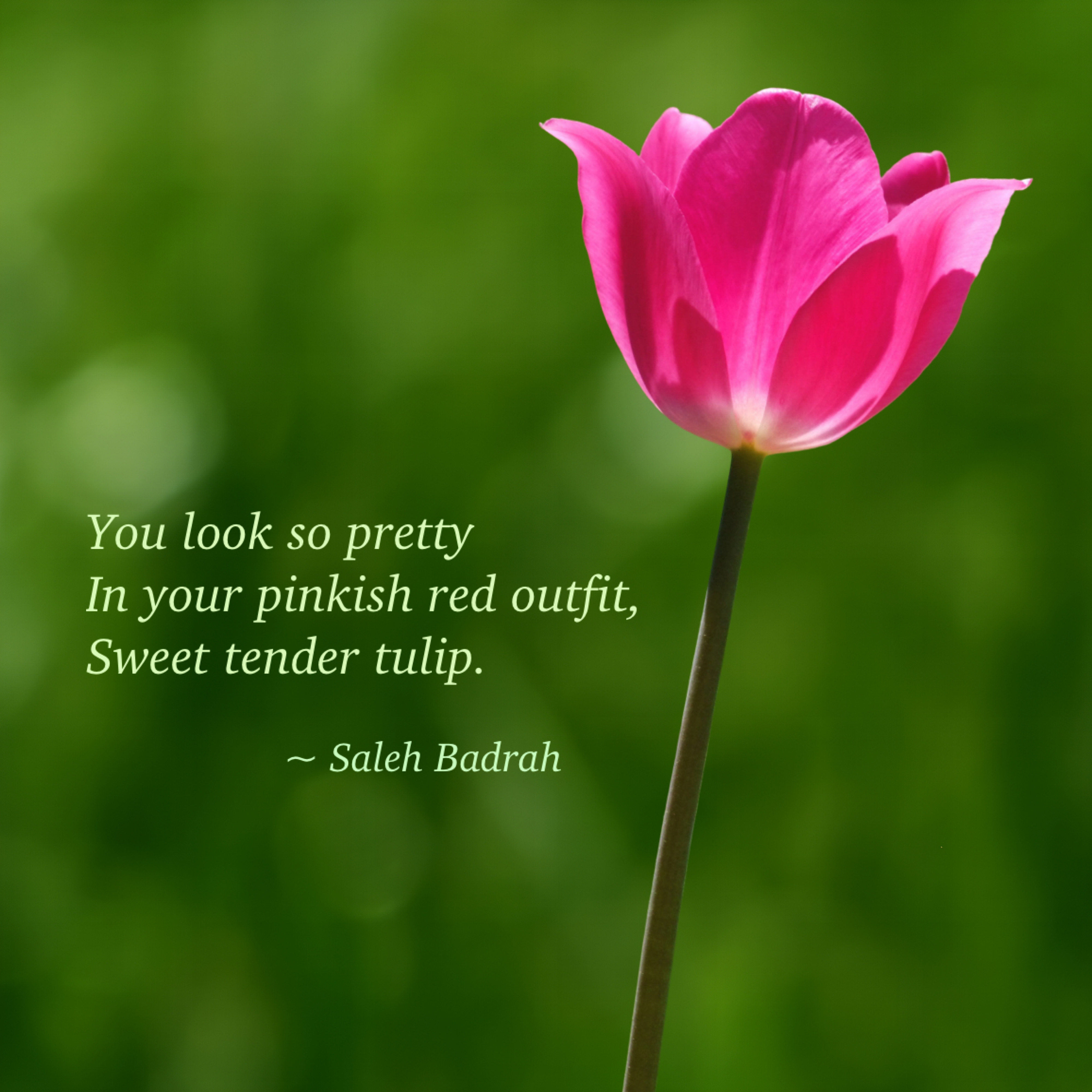 You Look So Pretty