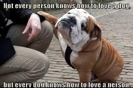 Dogs Without Pedigree