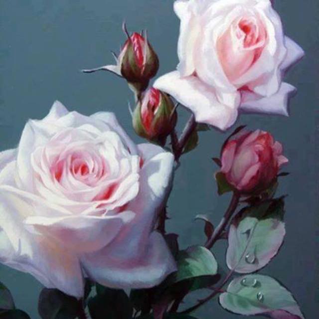Fine Arts Of A Rose