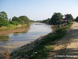 Million Dreams In River Bhogdoi