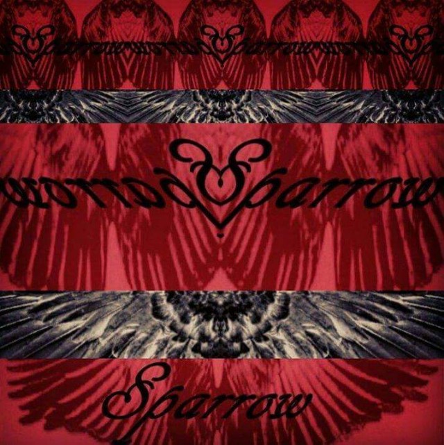 Upon A Sparrow's Wing