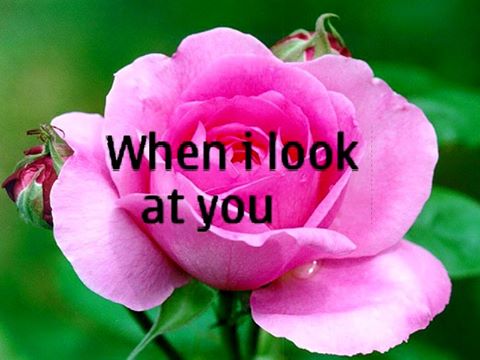 When I Look At You