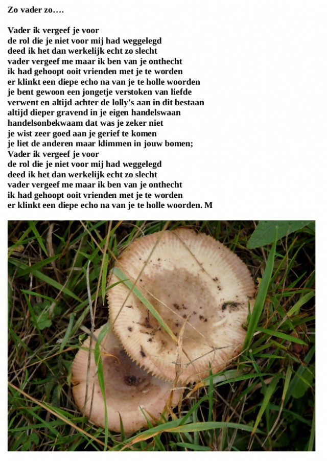 Zo Vader Zo....