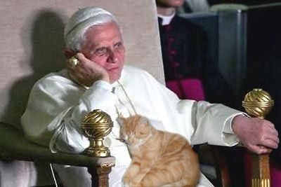 The - Pope - And - The Cat