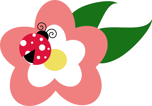 Ladybird, Ladybird