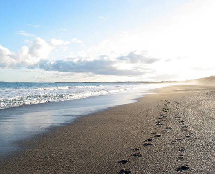 Footprints In The Sand