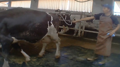 Taking Anger Out On The Helpless