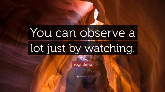 Observe Yourself