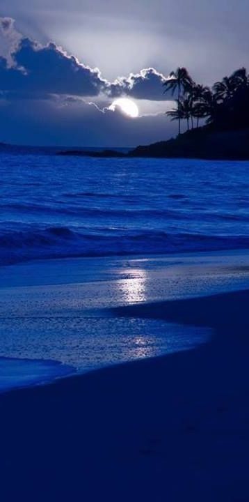Moonlit Night By The Beach