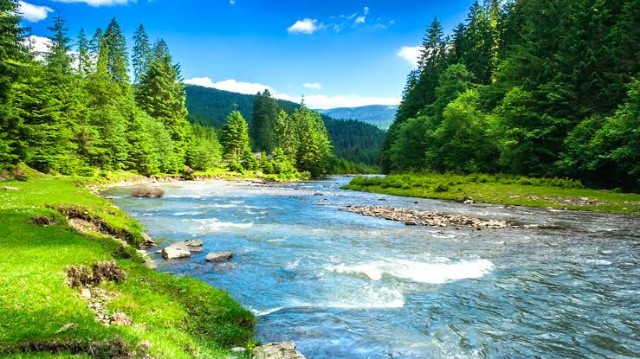 Nature