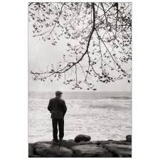 My Voice Should Die On Land