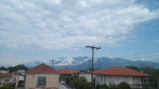 {ομίχλη: Φύσης Κάθαρση}