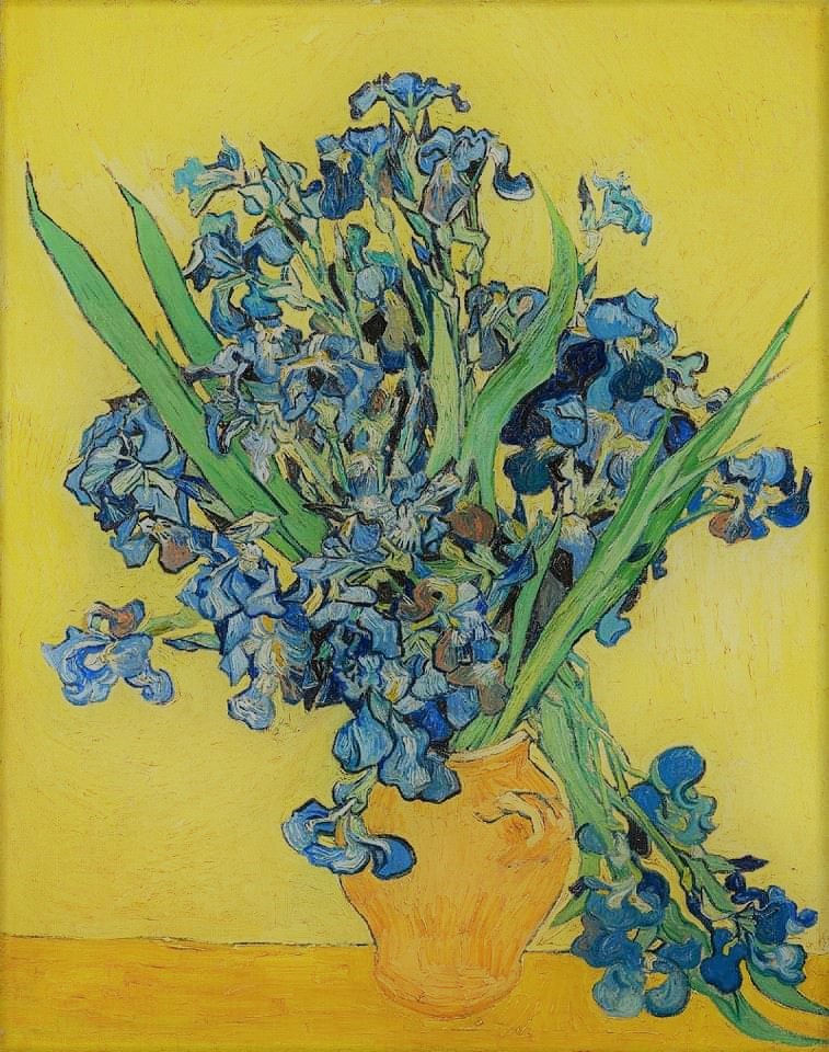 Vincent Van Gogh 70 - A Bitter Closure
