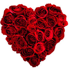Happy Valentine Day! ! !