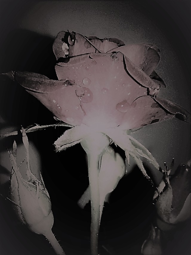 Unimaginable Love Ανεξήγητος Έρωτας