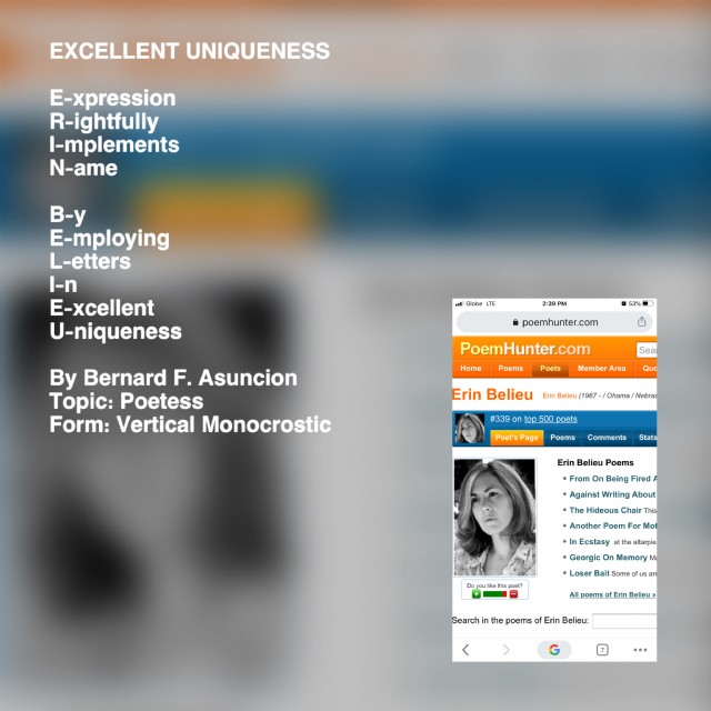 Excellent Uniqueness