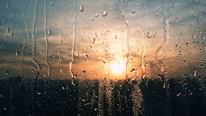 The Light Of Day