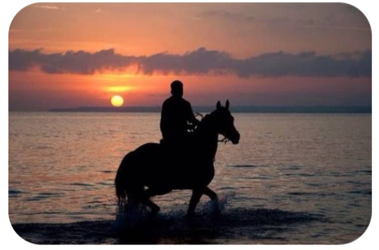 Ride On