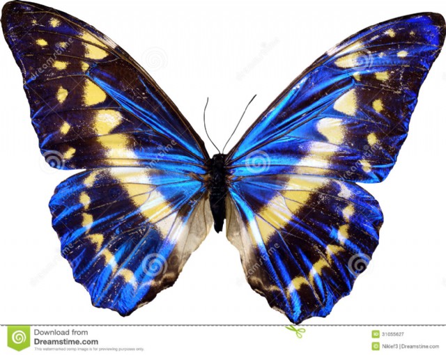 Nor Adjectives Enough