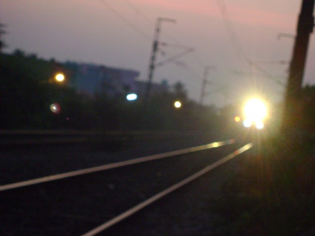 Train At Morning Tracks