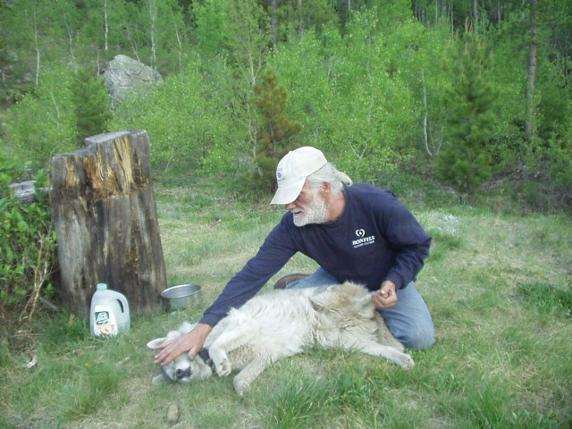 ~~~ Transversity? Or Is It Impermanence? ~~~