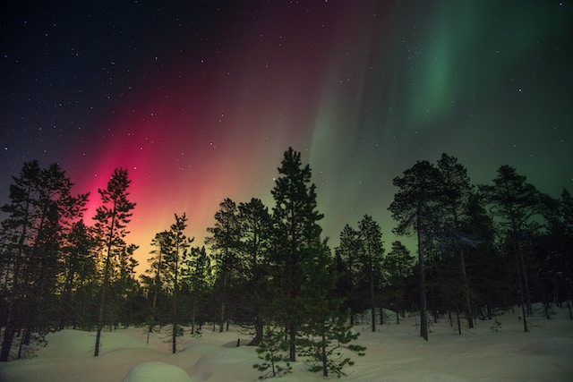 Magical Northern Lights
