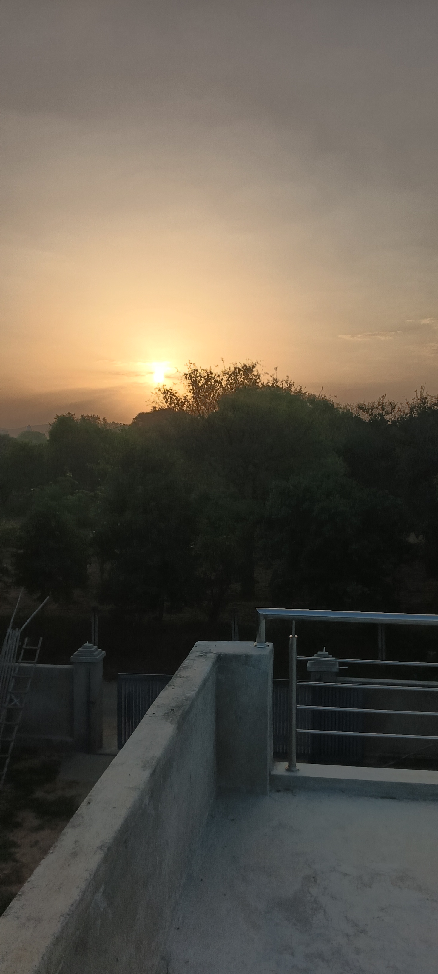 The Secret The Morning Never Told