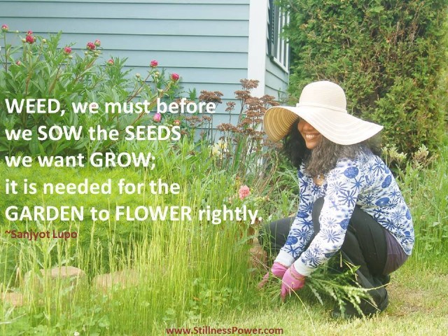 Until You Plant