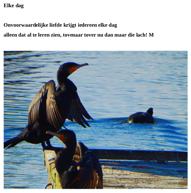 Elke Dag