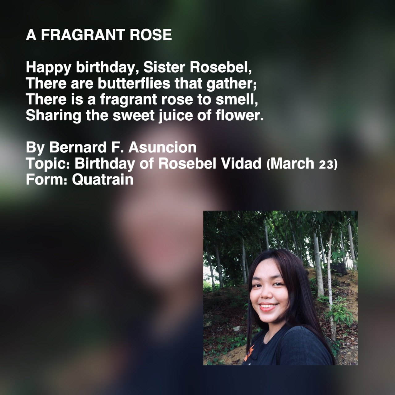A Fragrant Rose