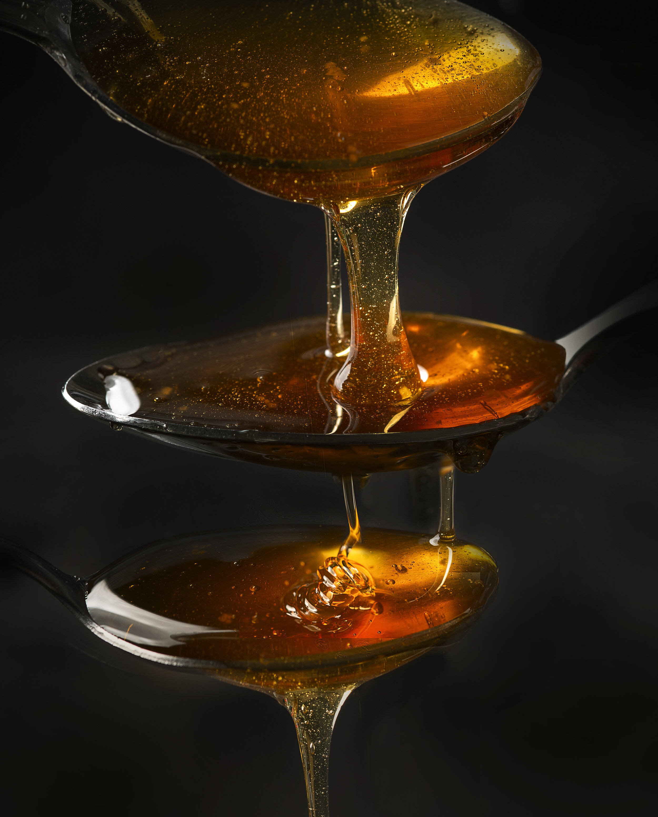 El Canto De La Miel / Cântecul Mierii / The Song Of Honey