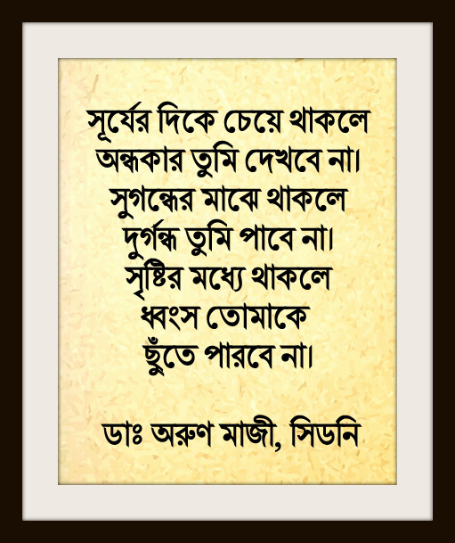 সূর্যের দিকে চেয়ে থাকলে
অন্ধকার তুমি দেখবে না (Amal)