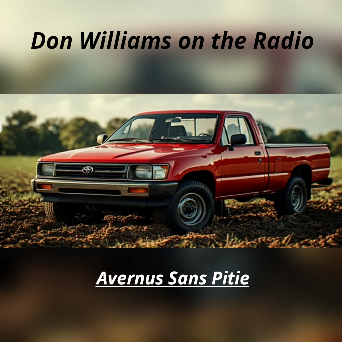 Don Williams (On The Radio)