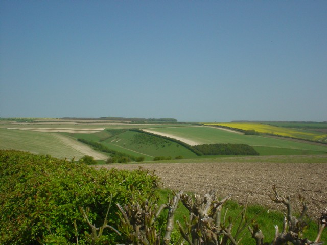 Middleton Wold