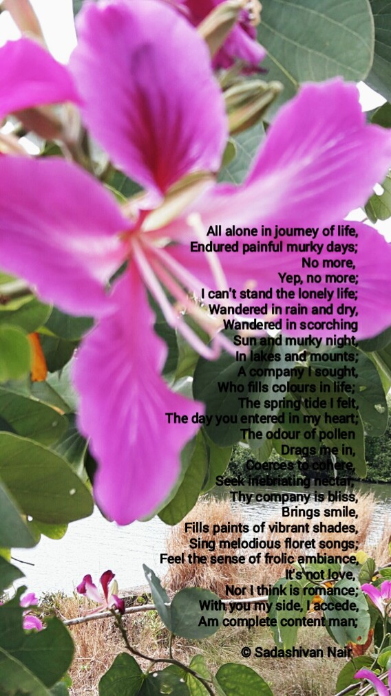 All Alone In Journey Of Life