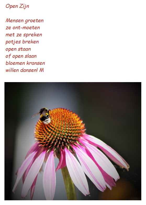 Open Zijn