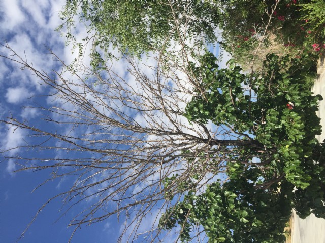 The Magic Of Springtime