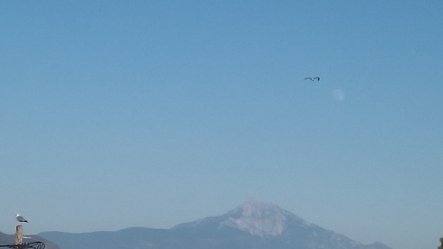 Δυσβάσταχτη Η Αλήθεια Της Πυθίας