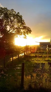 The Contradictions Of Society