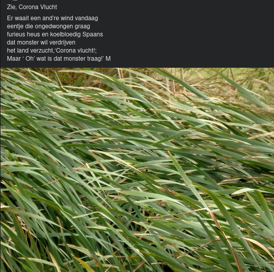 Zie, Corona Vlucht