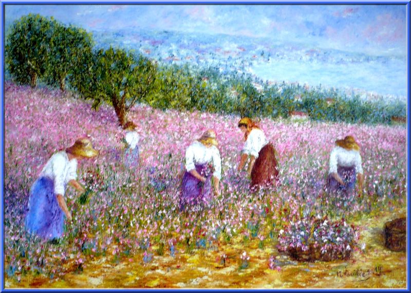 Carnation Pickers