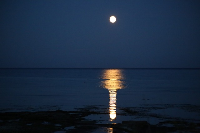 A Trail Of Moonlight