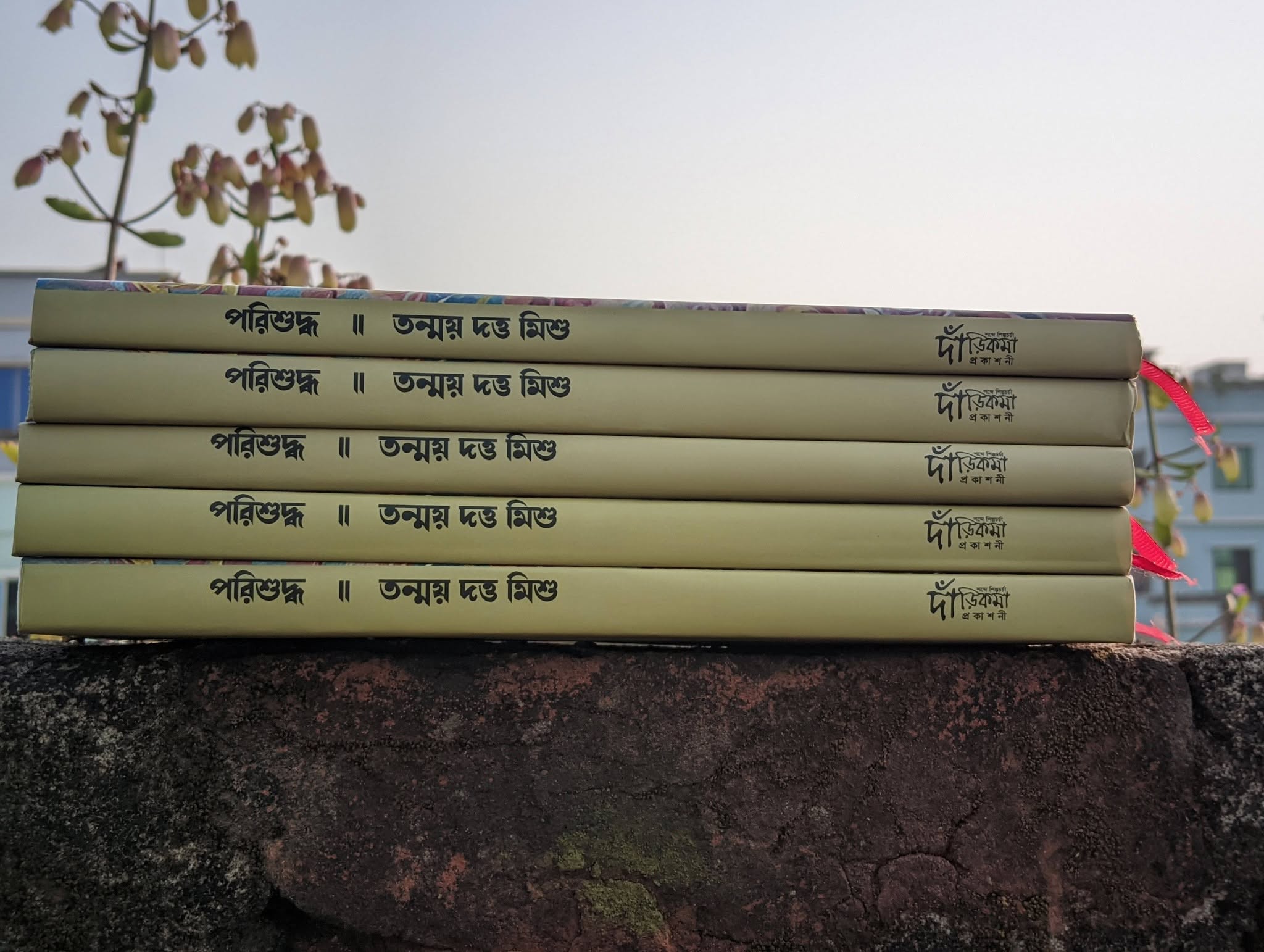আমি সেই কবিতা