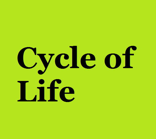 Cycle Of Life (German)