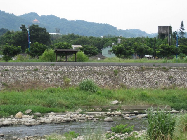 The River In A Dog Year