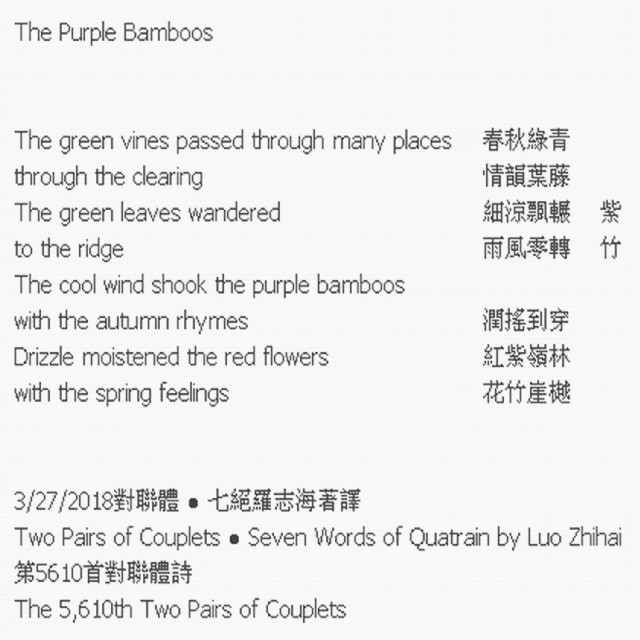 The Purple Bamboos